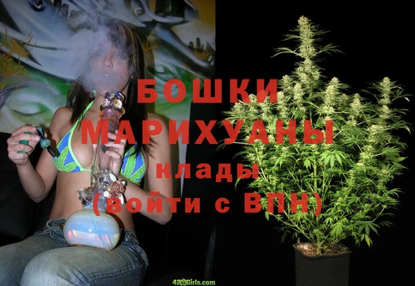 PSILOCYBIN Армянск