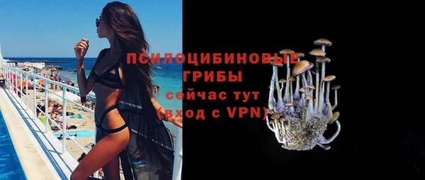 PSILOCYBIN Армянск