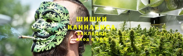 PSILOCYBIN Армянск