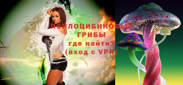 PSILOCYBIN Армянск