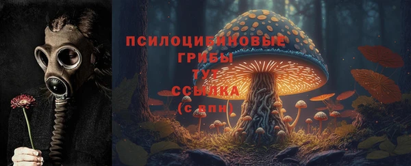 ECSTASY Аркадак